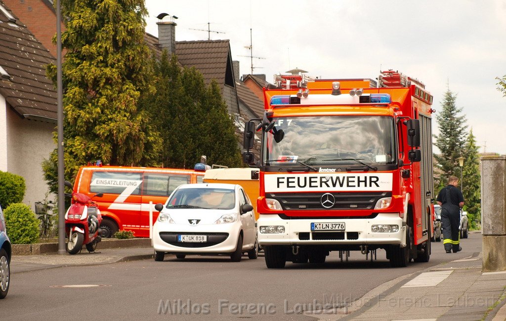 Kleinkran umgestuerzt Koeln Porz Wahn Im Lochgarten P77.JPG